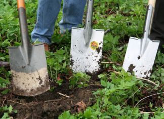 Turin Garden di Torino 1142 0 Turin Garden di Torino
